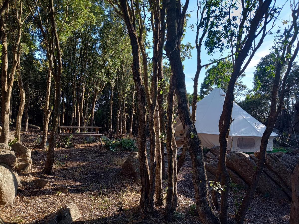La Cera Farm Camping B&B Santa Teresa Gallura Exterior photo