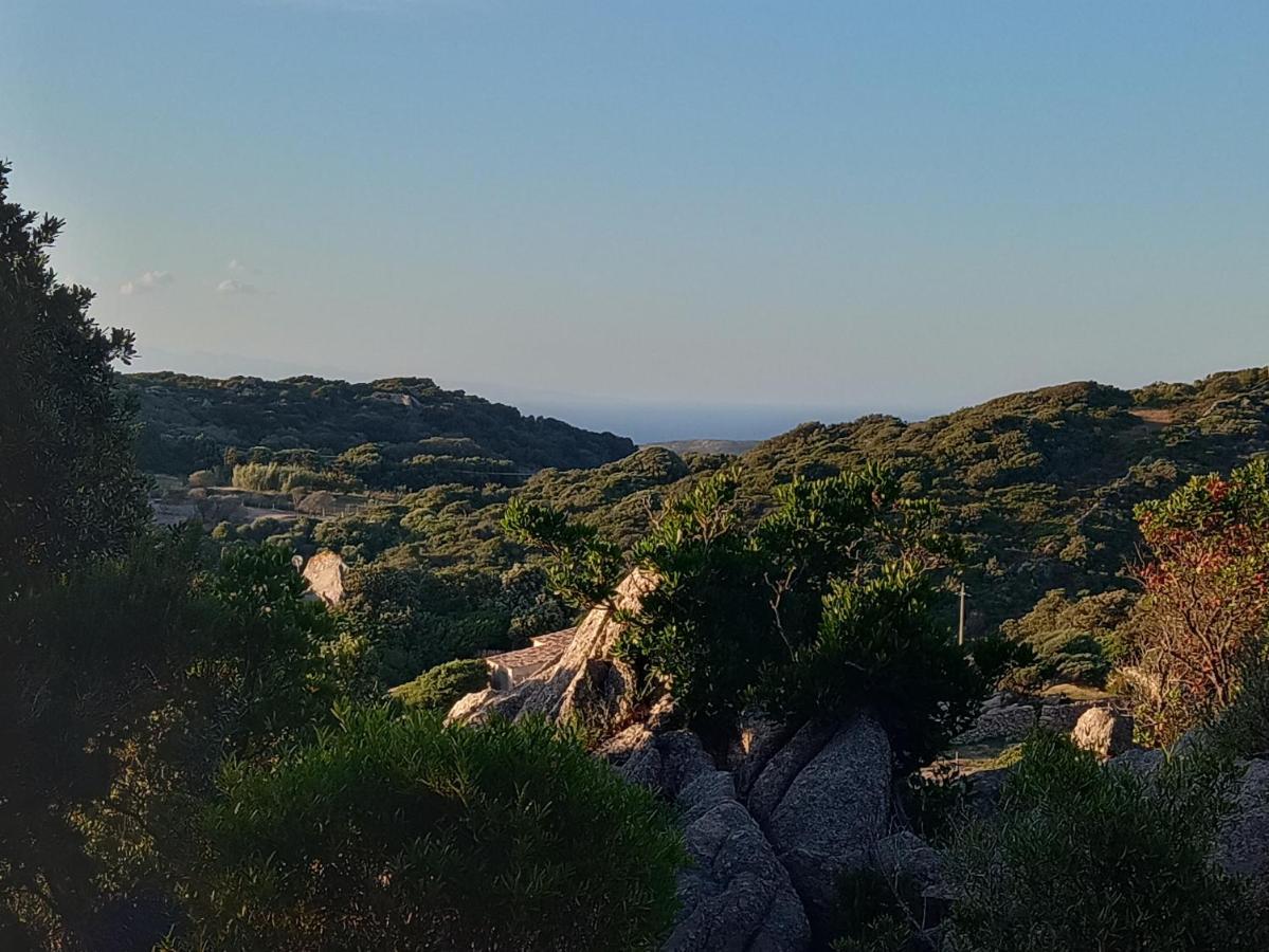 La Cera Farm Camping B&B Santa Teresa Gallura Exterior photo