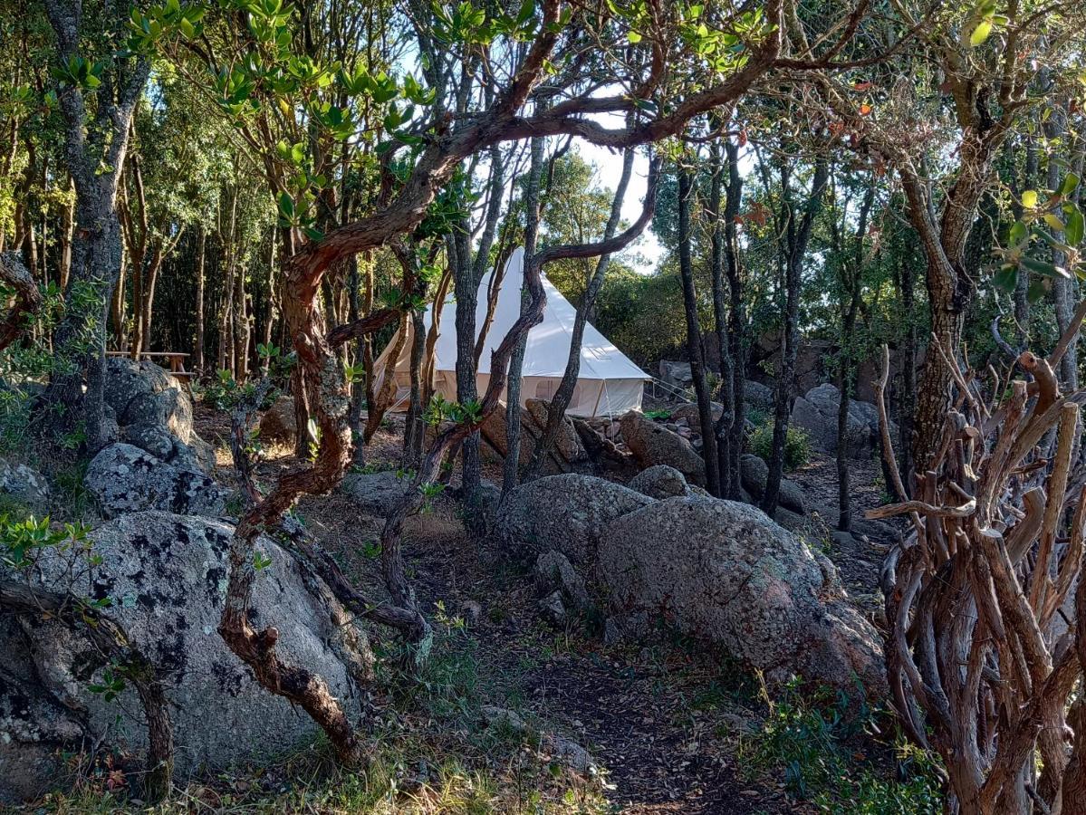 La Cera Farm Camping B&B Santa Teresa Gallura Exterior photo
