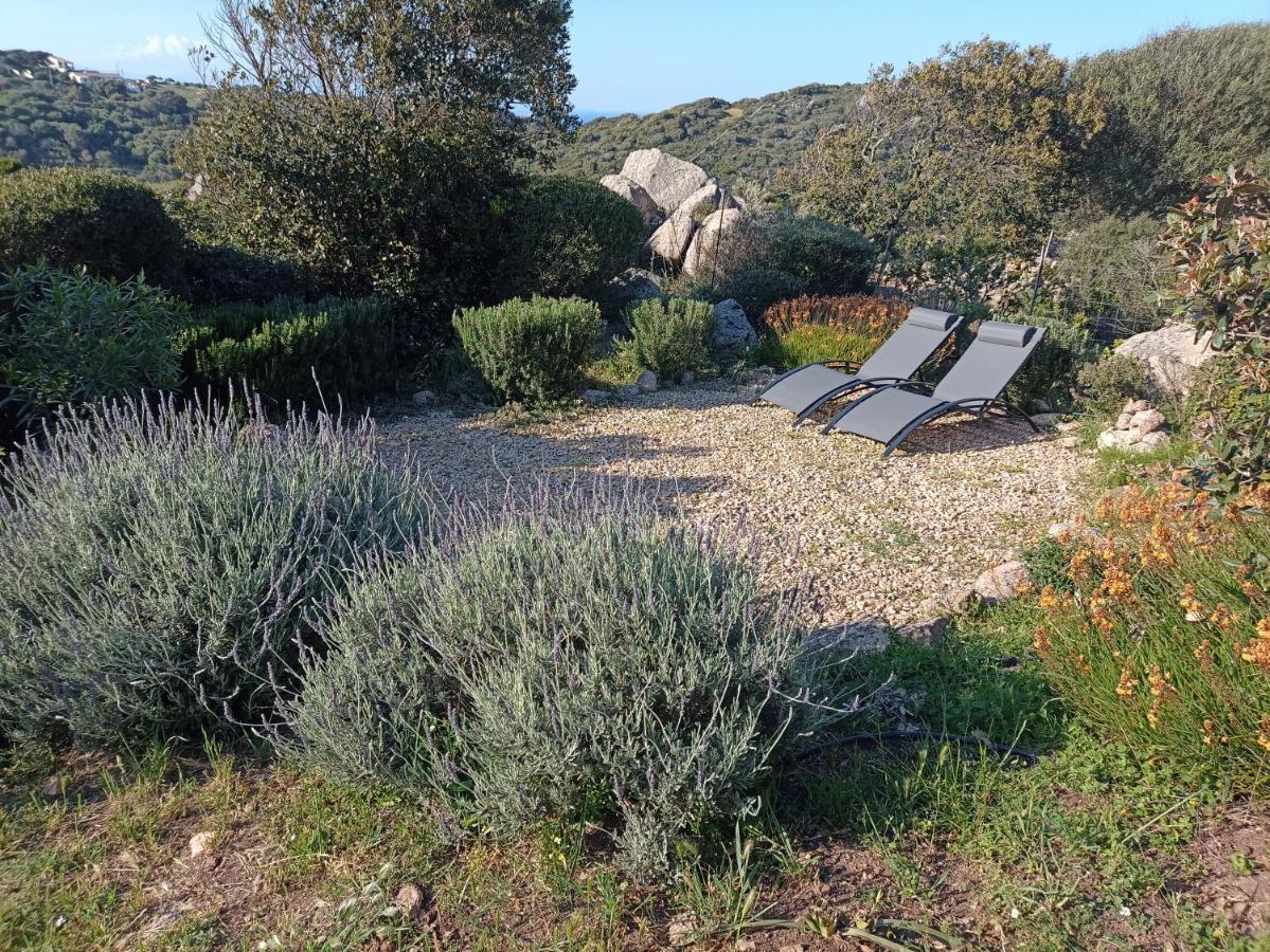 La Cera Farm Camping B&B Santa Teresa Gallura Exterior photo